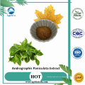 Andrographis Paniculata Extract Powder 98% Andrographolide